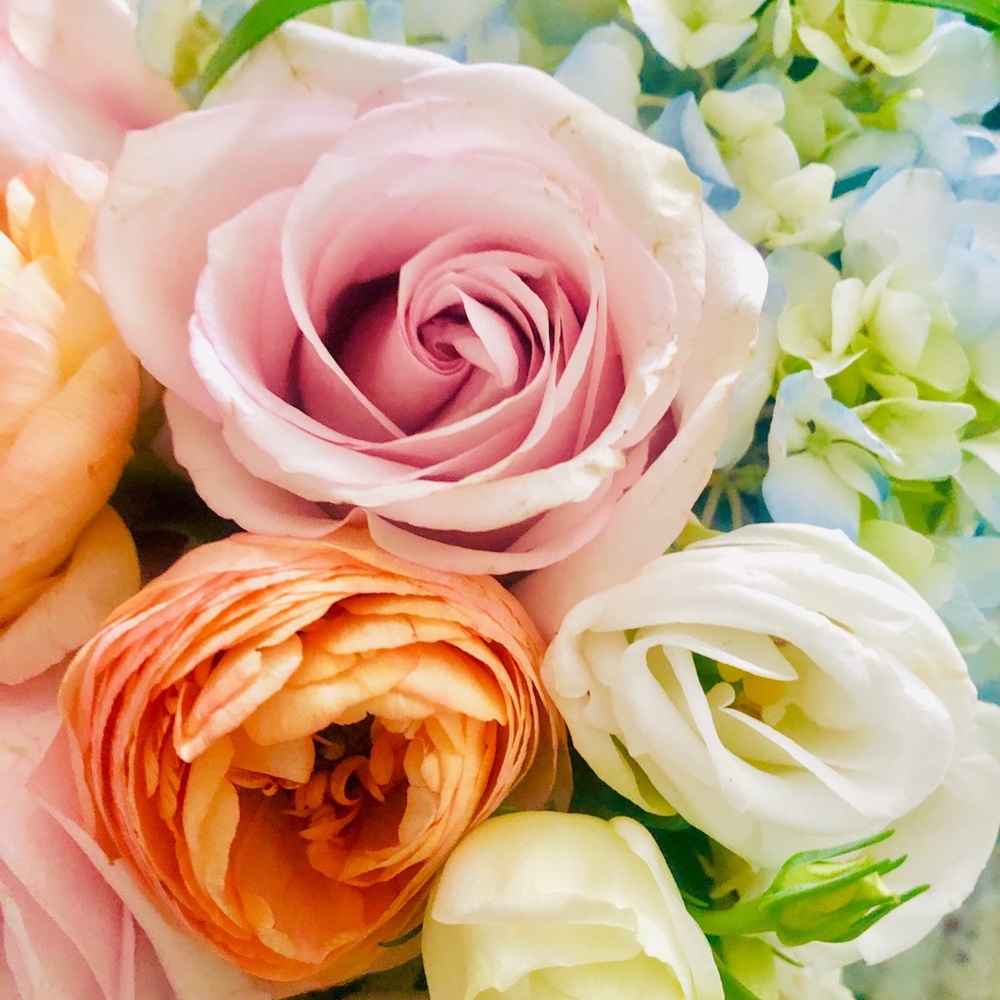 Meet your Posher, Lauren